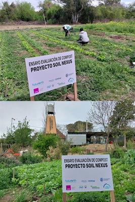 Urban food waste for soil amendment? Analysis and characterisation of waste-based compost for soil fertility management in agroecological horticultural production systems in the city of Rosario, Argentina